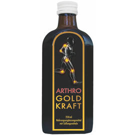 Arthro Gold Kraft 1-Monatskur 1 Flasche